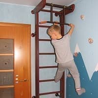 Детские спортивные комплексы для дома из массива дерева